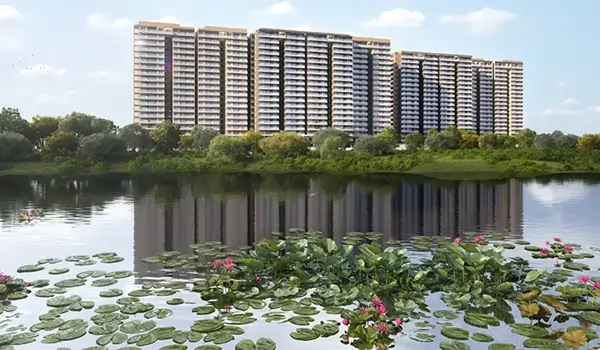 Featured Image of About Prestige Evergreen