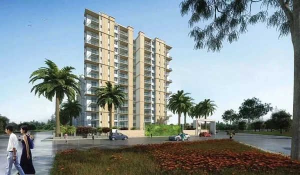 Investment Potential