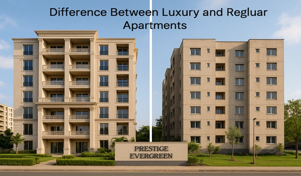 Difference Between Luxury and Regular Apartments Visual comparison showing key differences between luxury and regular apartment interiors