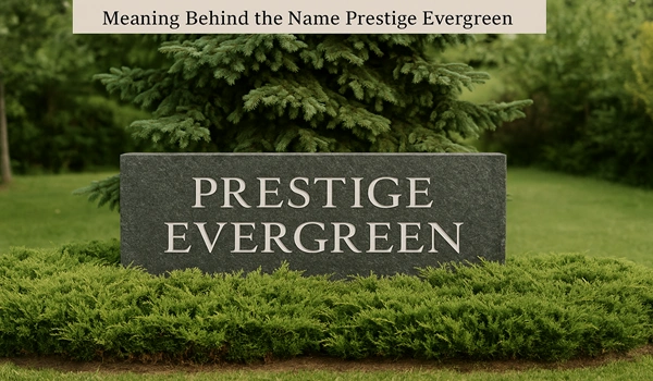 Meaning Behind the Name Prestige Evergreen