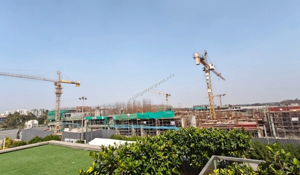 Construction landscape at Prestige Evergreen showing multiple tower cranes active across the Raintree Park project site with structural works in progress