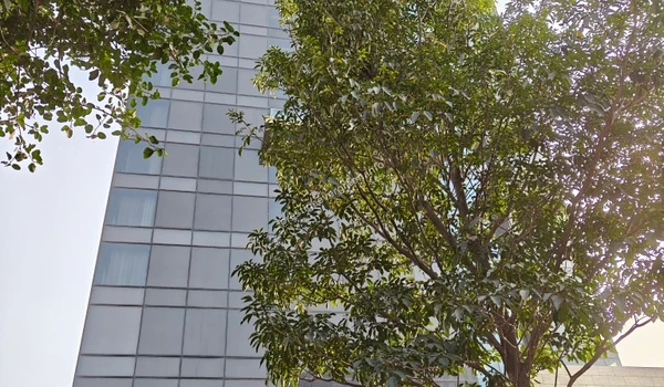 A high-rise glass building seen through lush greenery, illustrating the modern urban landscape surrounding Prestige Evergreen