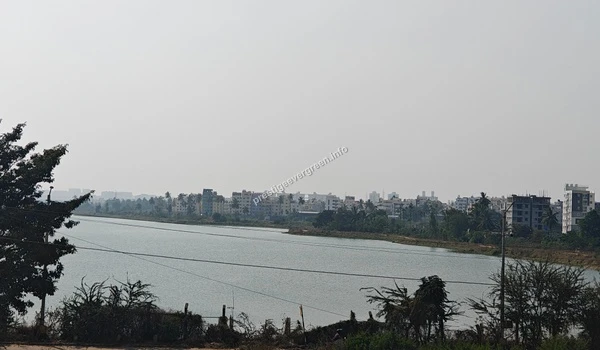 Capturing the vibrant atmosphere near Varthur Lake with local connectivity and the scenic natural landscape adjacent to Prestige Evergreen