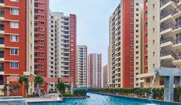 Prestige Southern Star Prestige Southern Star