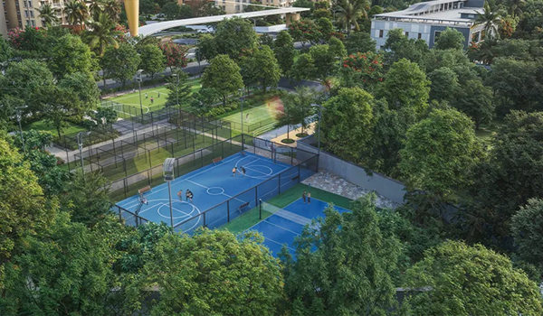Sports Facilities & Courts 