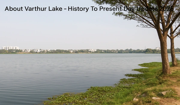 Varthur Lake History | From Ganga Dynasty To 2025