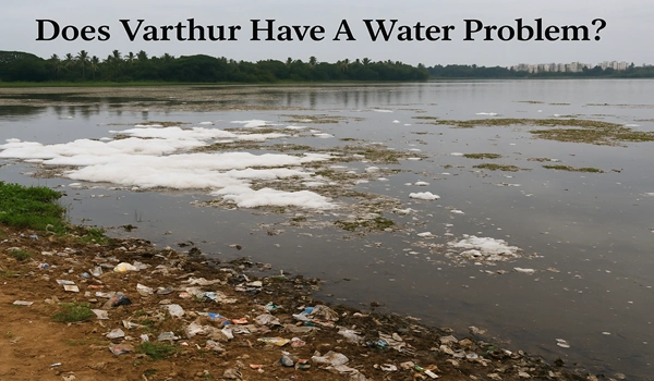 Does Varthur have a water problem? Analysis of Varthur Lake pollution, water scarcity, and environmental concerns in Bangalore