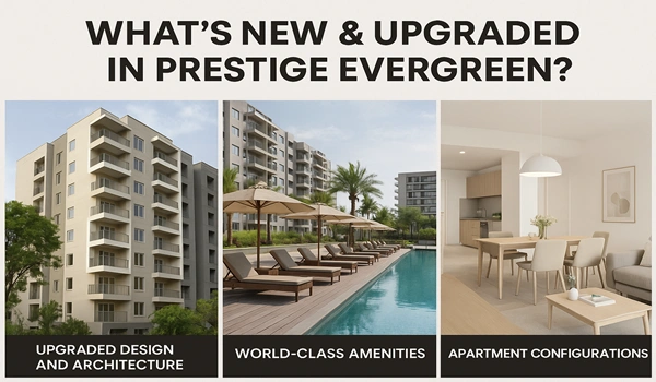 What's New & Upgraded in Prestige Evergreen?