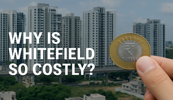 Why is Whitefield So Costly?